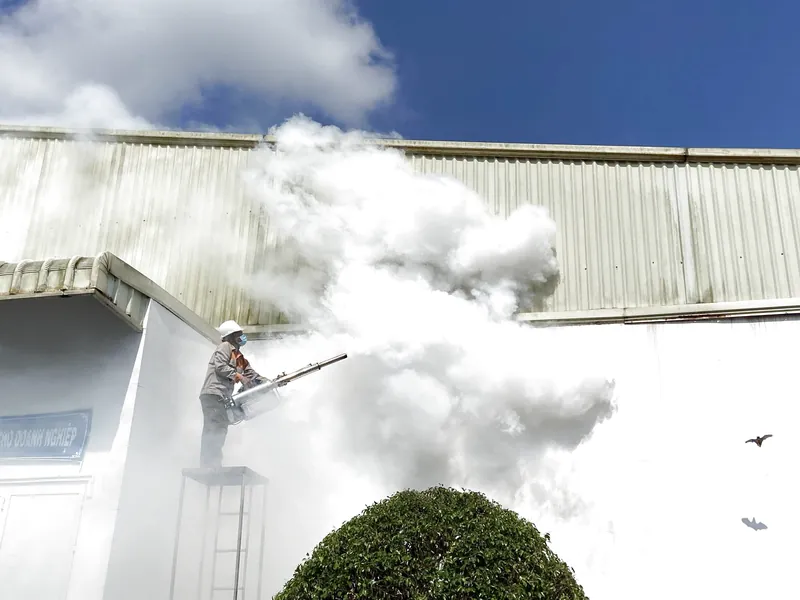 Dịch vụ diệt nhện nhà máy