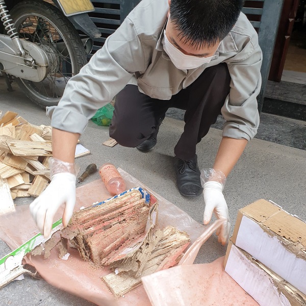 dịch vụ diệt mối trọn gói