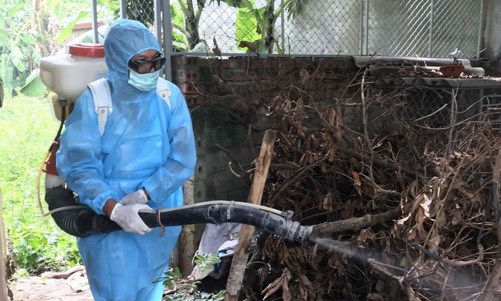 Dịch vụ diệt ruồi