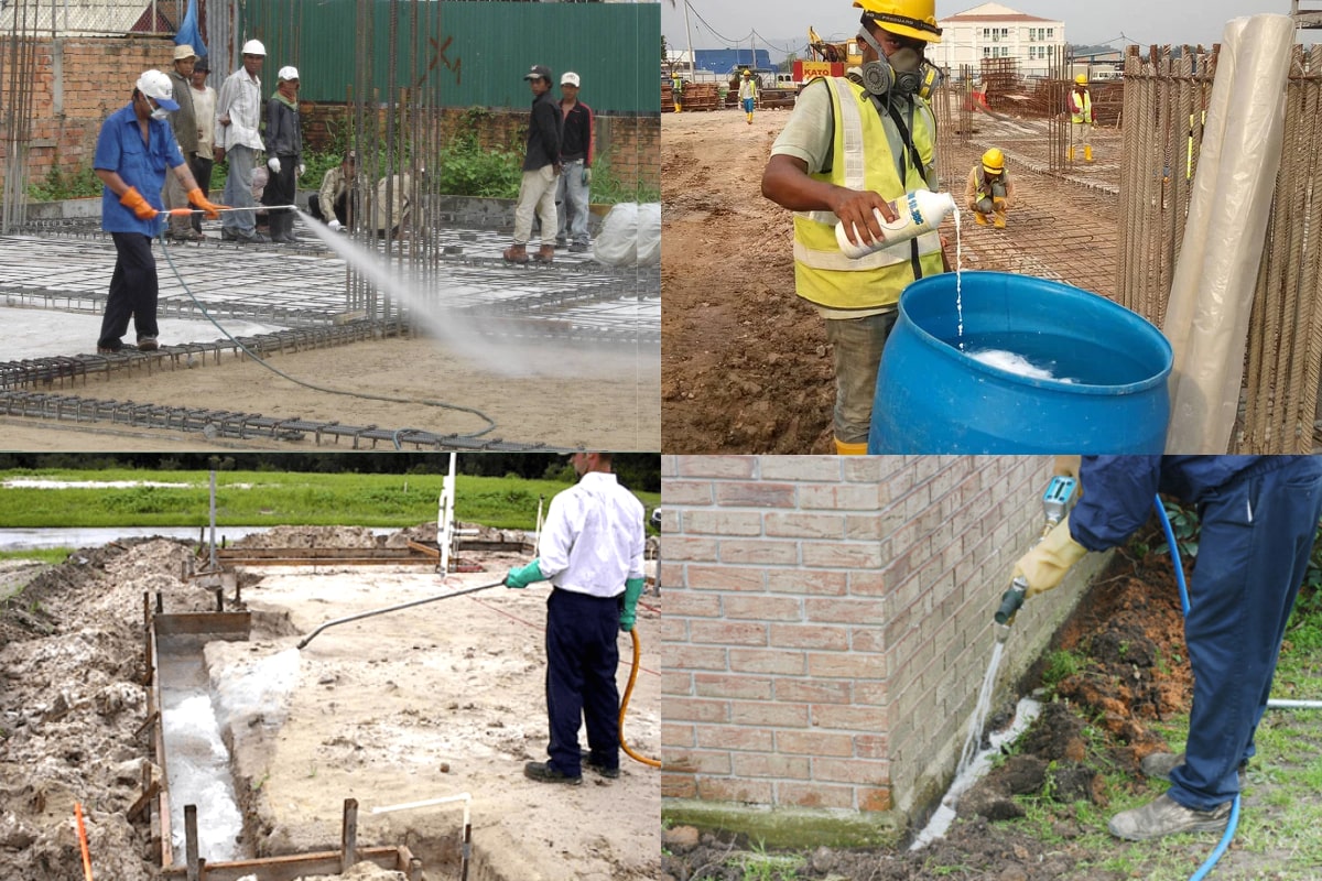 12 loại thuốc chống mối công trình xây dựng hiệu quả nhất